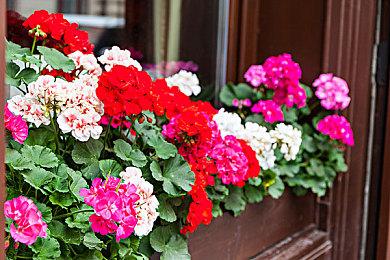 《高尔夫乐园：荒凉之地》上架Steam 9月发售